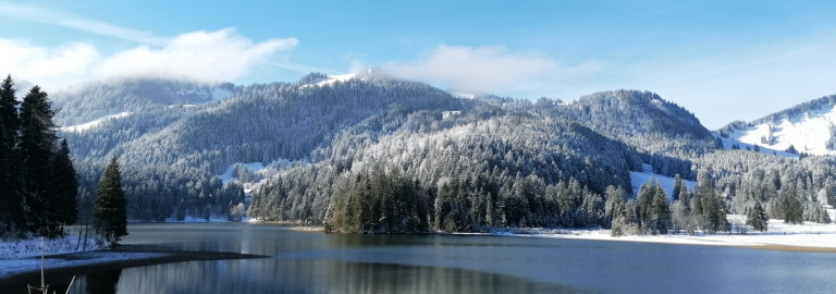 Slider_Winter_1200x450