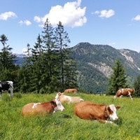 Walleralm_200x200